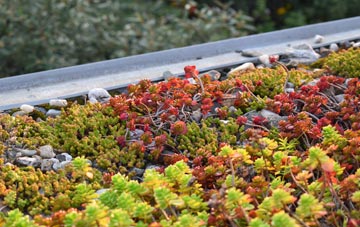 the cost of South Somercotes green roof installation