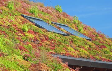 South Somercotes living roof systems