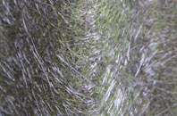 South Somercotes fibreglass roof work